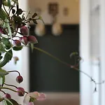 Pa Torvet - Guesthouse Aparthotel